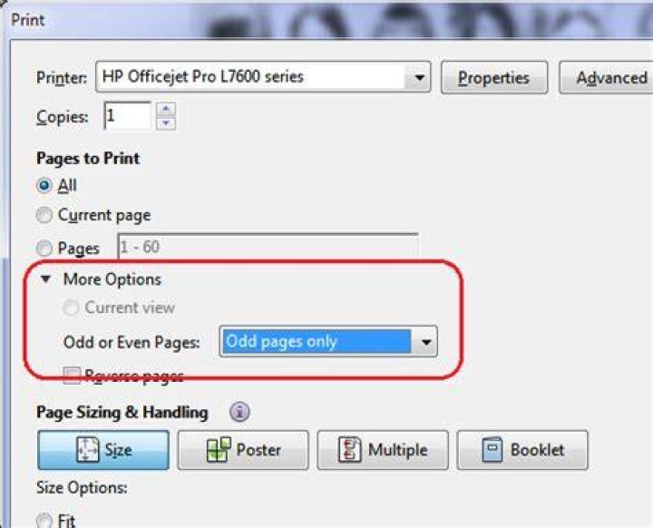 Acrobat Reader-how to print only the odd pages?