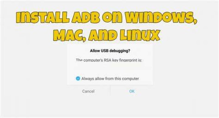 adb install system app