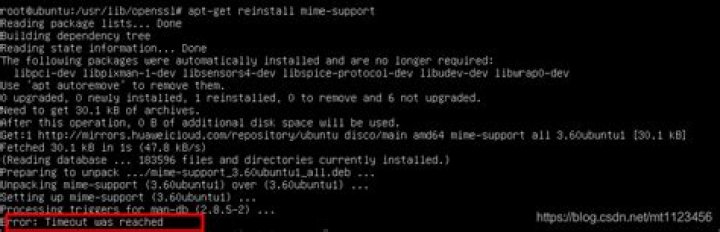 apt-get install: Error: Timeout was reached?
