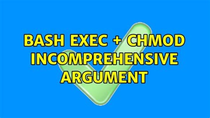Bash exec + chmod incomprehensive argument