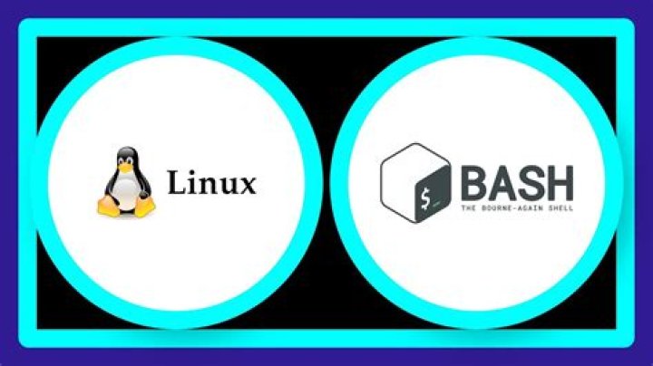 bash watch command with colors preserved