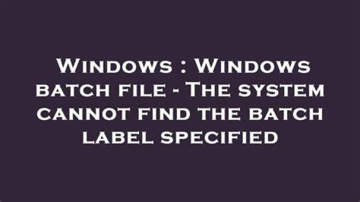 Batch, The system cannot find the batch label specified
