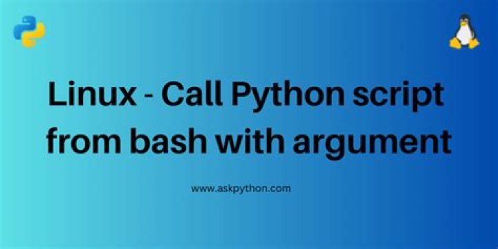Call Python script from bash with argument