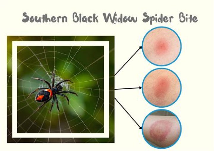Can i stop a blackwidow macro while its being executed?