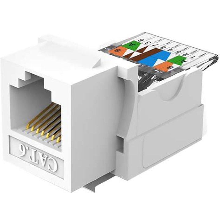 Cat 6 wall jack.