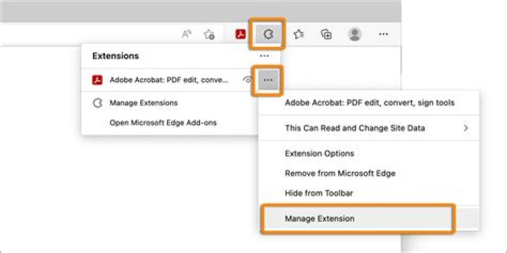 Click on extension options