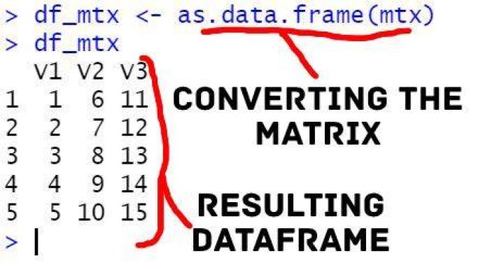 converting a dgCMatrix to data frame