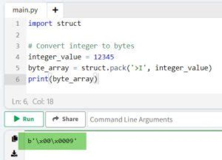 Converting an int into a 4 byte char array (C)