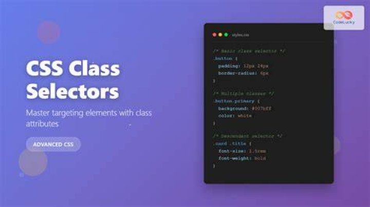 CSS 