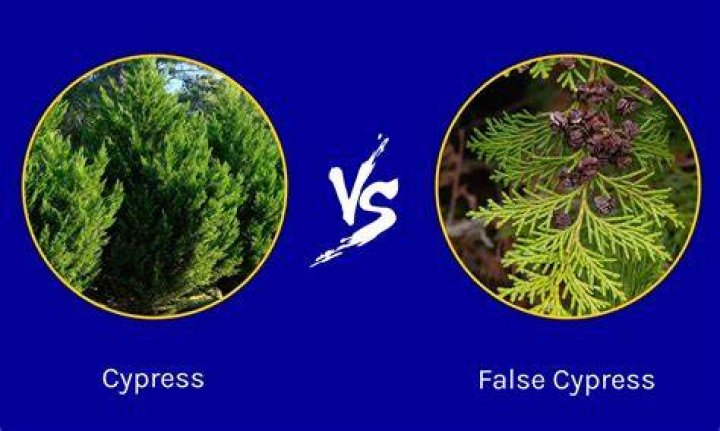Cypress and file tree