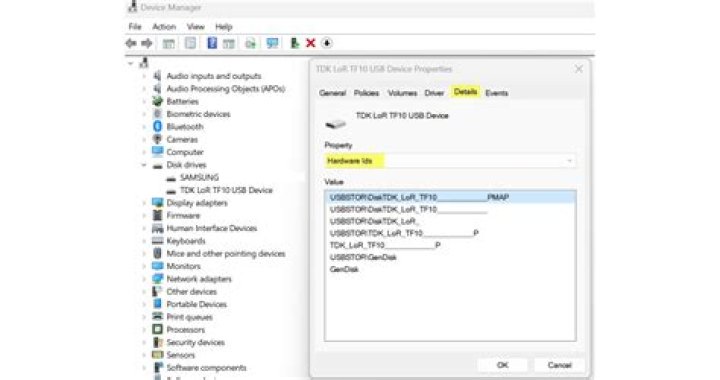 DeviceManager