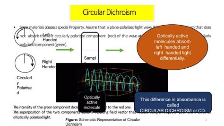 Difference between cd and function chdir