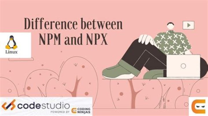 Difference between npx and npm?