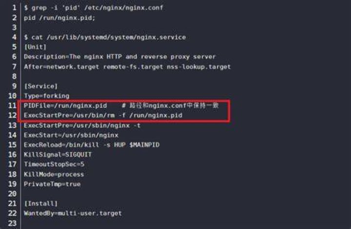 Does systemd's forking service remove PidFile?