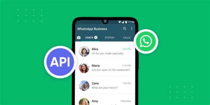 Does WhatsApp offer an open API? [closed]