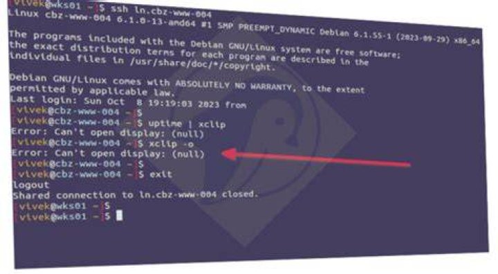 Error: Can't open display: (null) Failed creating new xdo instance on mac OS