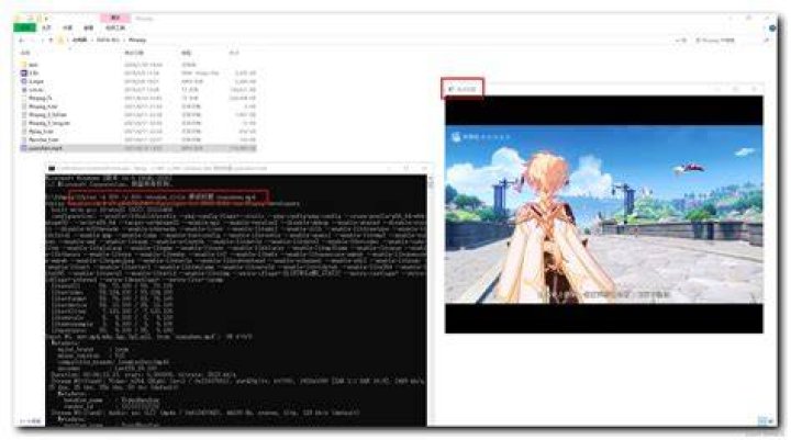 ffplay example.gif