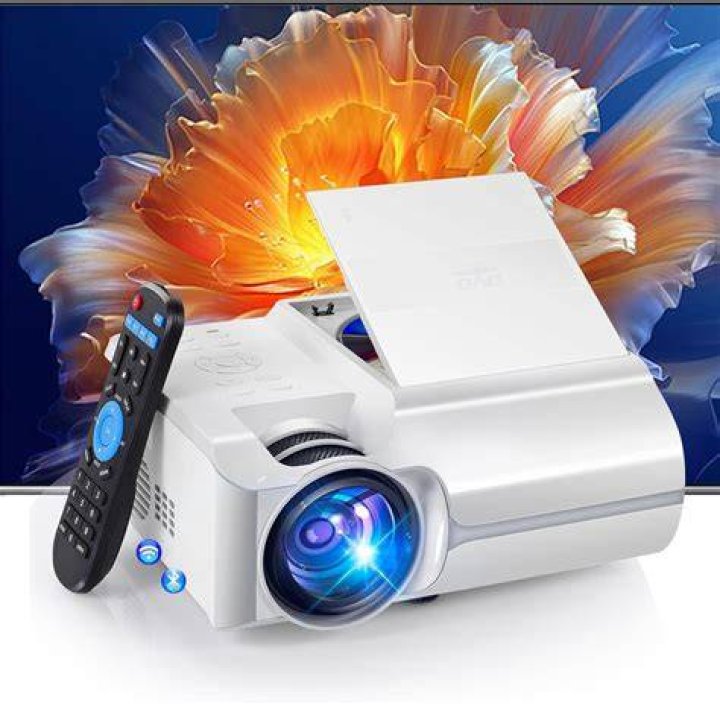 Flash Player Projector post 2020