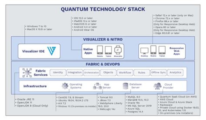Form Navigation in Temenos Quantum Visualizer