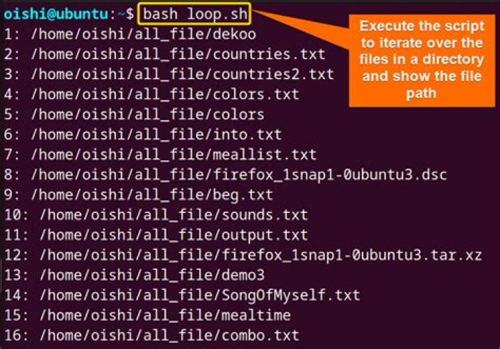Get last dirname/filename in a file path argument in Bash