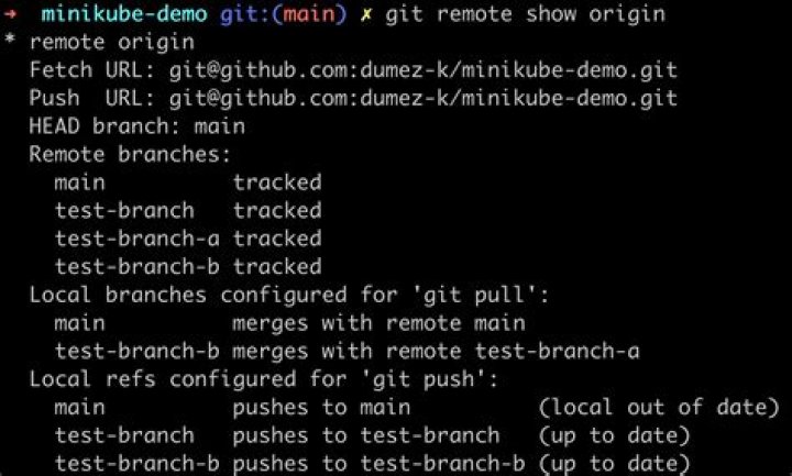Git pull a certain branch from GitHub