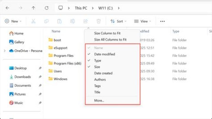 Have Windows automatically resize the Name column in File Explorer when it opens?