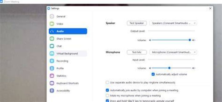 How do I adjust the microphone volume in Zoom?