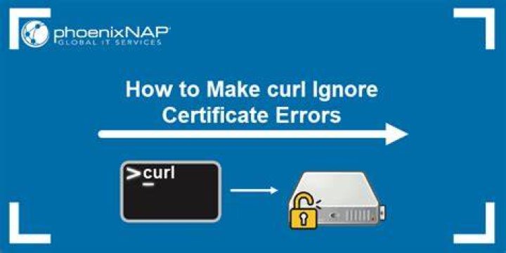 How do I make curl ignore the proxy?