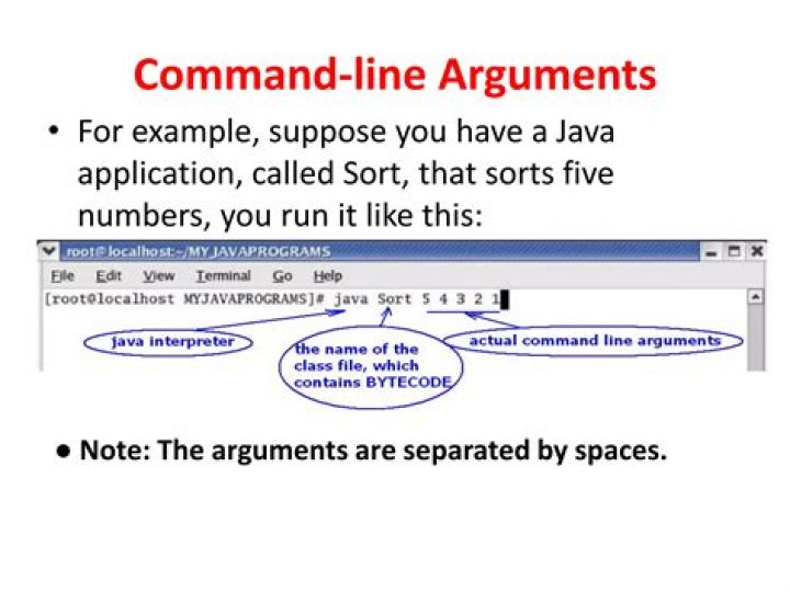 How do I parse command line arguments in Java?