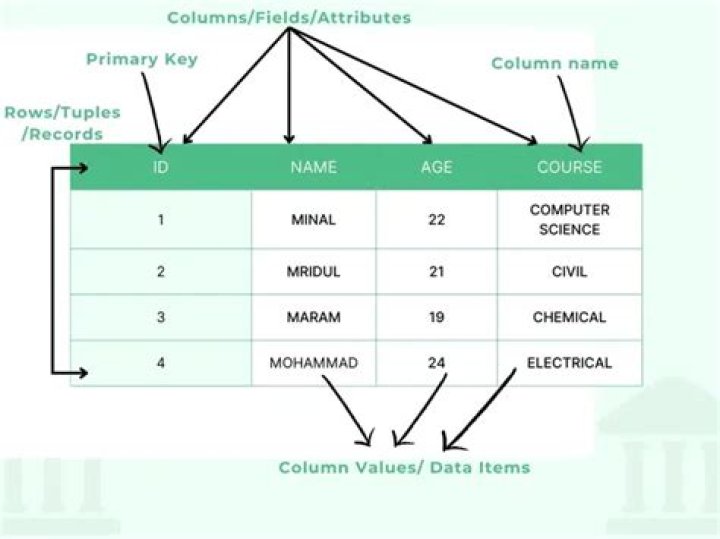 How do I see what character set a MySQL database / table / column is?