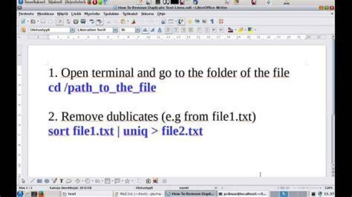 How Does One Remove Duplicate Text Lines From Files Larger Than 4GB?