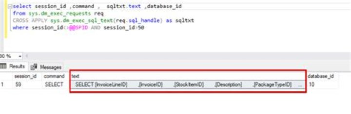 How does sys.dm_exec_sql_text work?