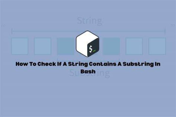 How to check if a string contains a substring in Bash