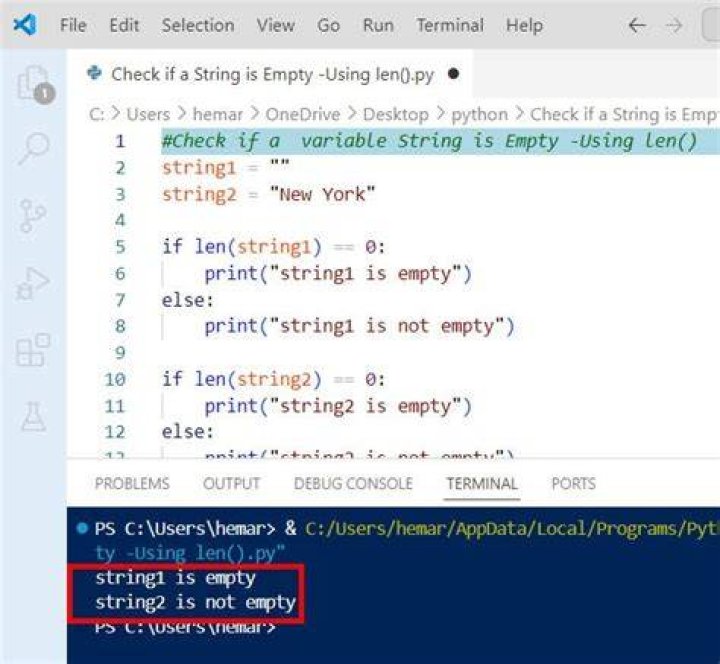 How to check whether a str(variable) is empty or not?