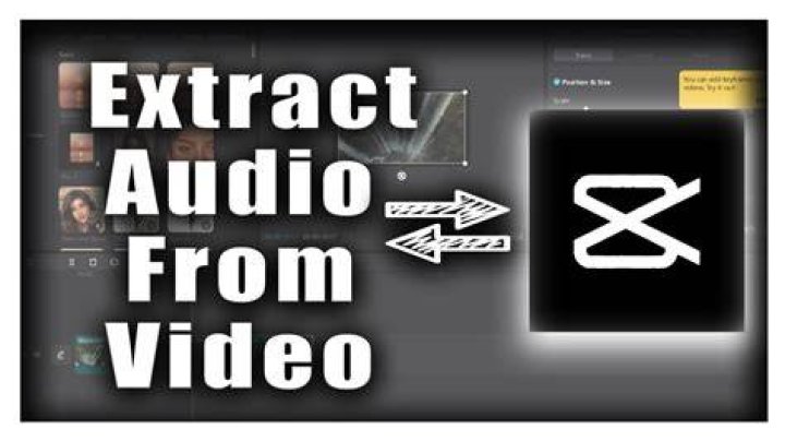 How to extract sound from an application program