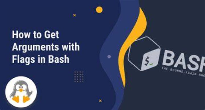 How to get arguments with flags in Bash