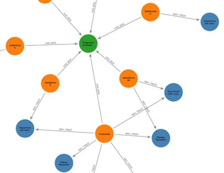How to import a networkX graph to neo4j?