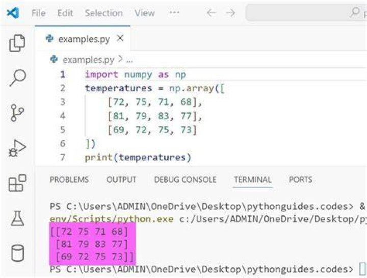 How to initialize a two-dimensional array in Python?