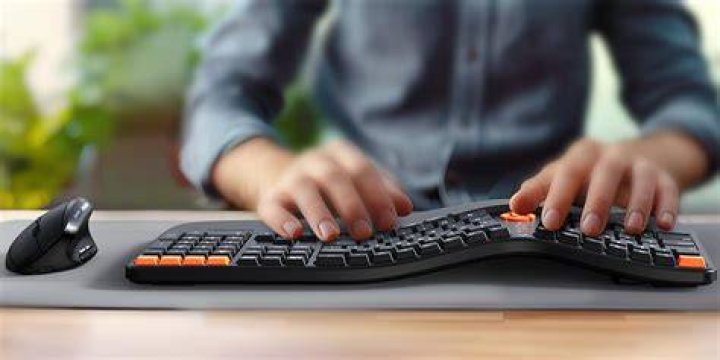 How to protect a keyboard from a cat?