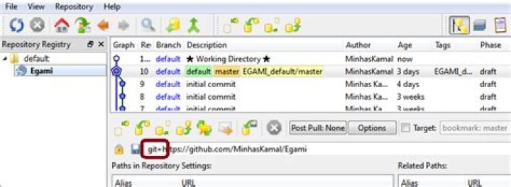 How to pull or push a project using TortoiseHg to GitHub repository?