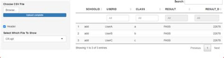 How to render Datatable using DT in R shiny