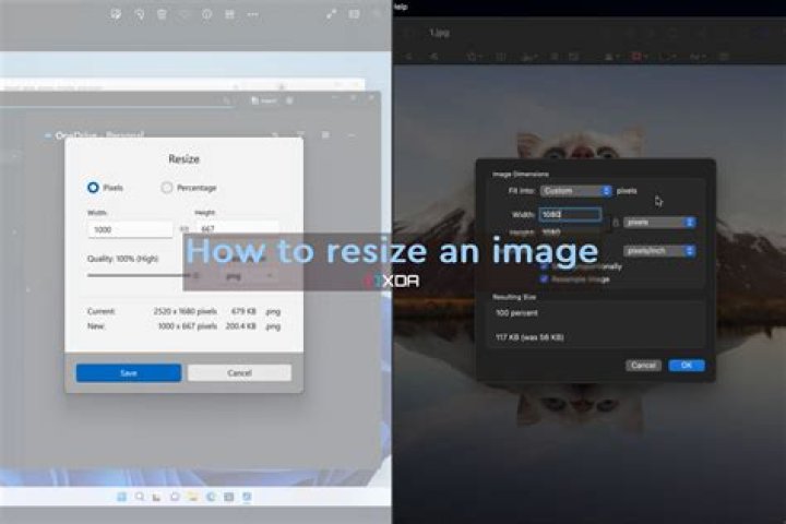 how to resize img in React