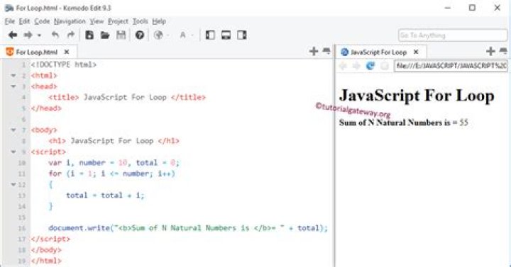 How to stop a JavaScript for loop?