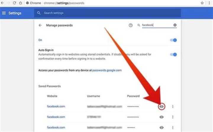 How to stop users from viewing saved passwords in Chrome?