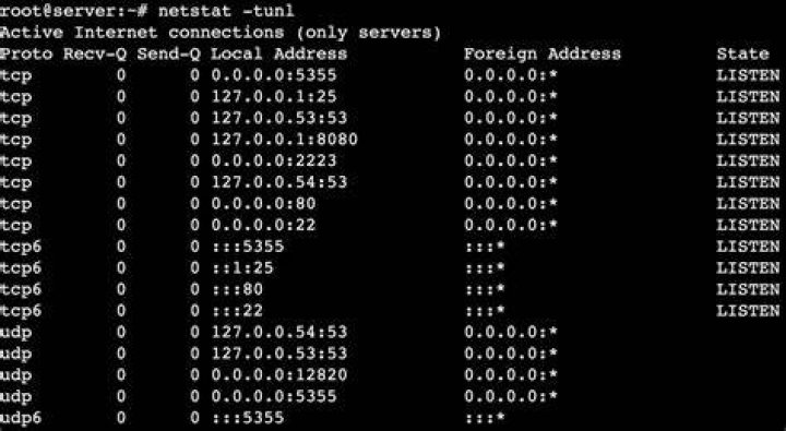 how to use netstat on a specific port in Linux