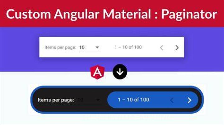 How to use paginator from material angular?