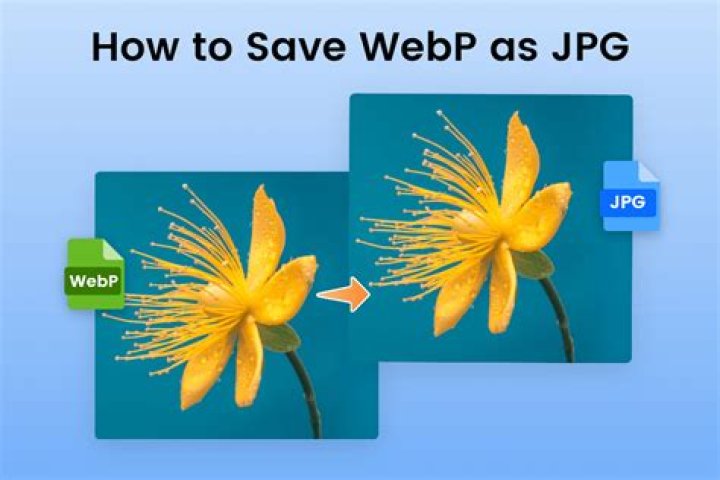 How to use webp image format in HTML