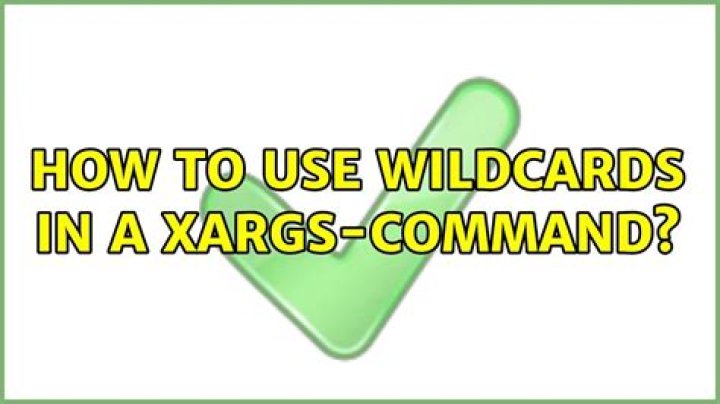 How to use wildcards in a xargs-command?