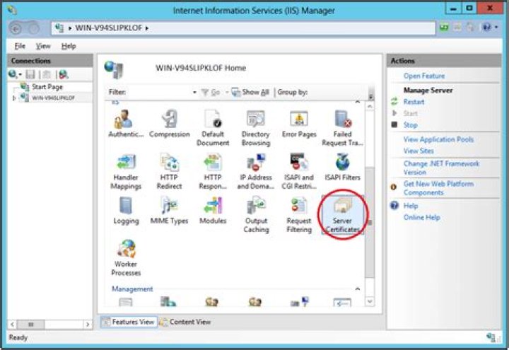 IIS certificates