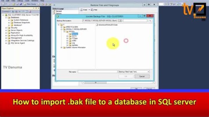 Import .bak file to a database in SQL server